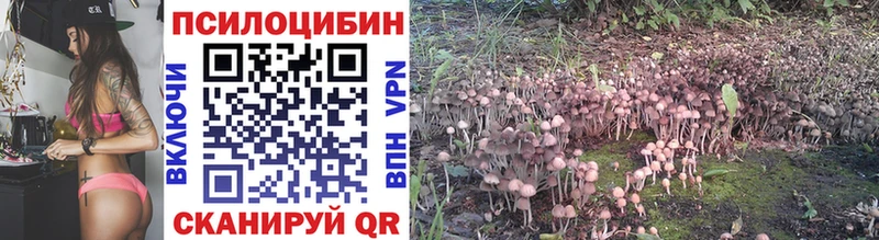 купить   Родники  Псилоцибиновые грибы Psilocybe 
