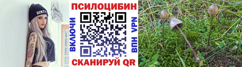 Псилоцибиновые грибы MAGIC MUSHROOMS Родники